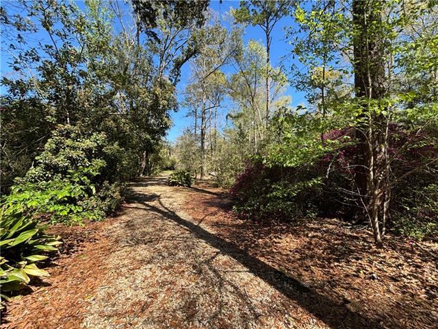 707 Copal Street Mandeville, LA 70448 - Photo 9 of 11