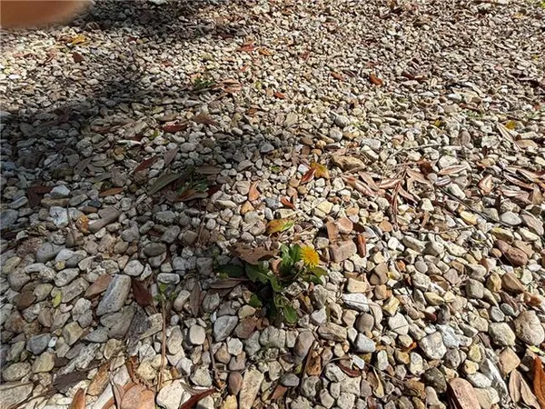 $225,000 | 707 Copal Street, Mandeville, LA 70448