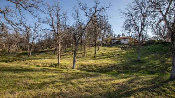 a view of a yard with large trees