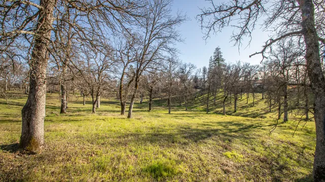 a view of a yard with swimming pool