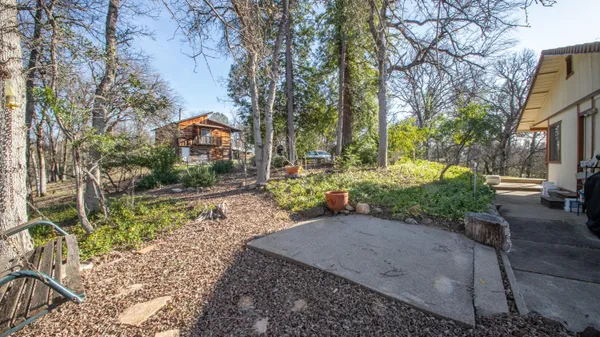 a view of a yard with plants and trees