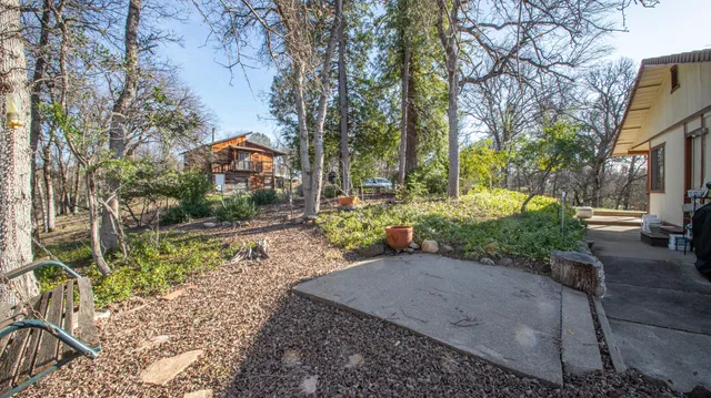 a view of a yard with plants and trees