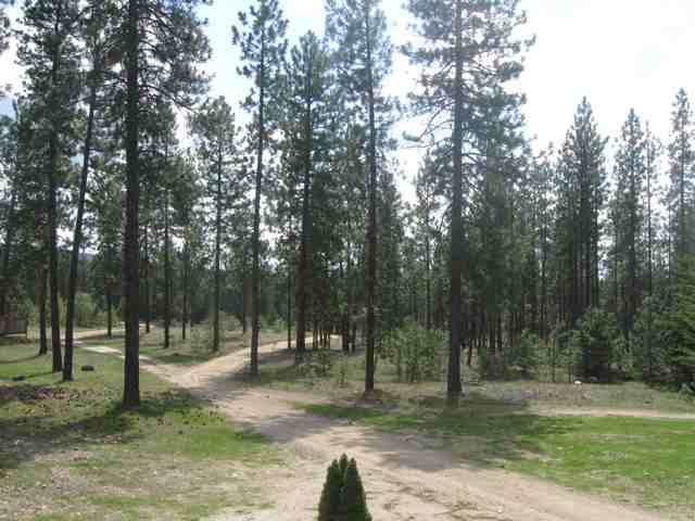 5506 South Swenson Road Nine Mile Falls, WA 99026 - Photo 5 of 7 Gallery Image 5