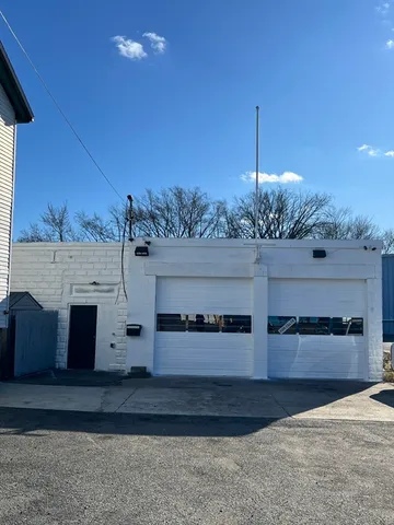 a view of a fireplace with plants in front of it