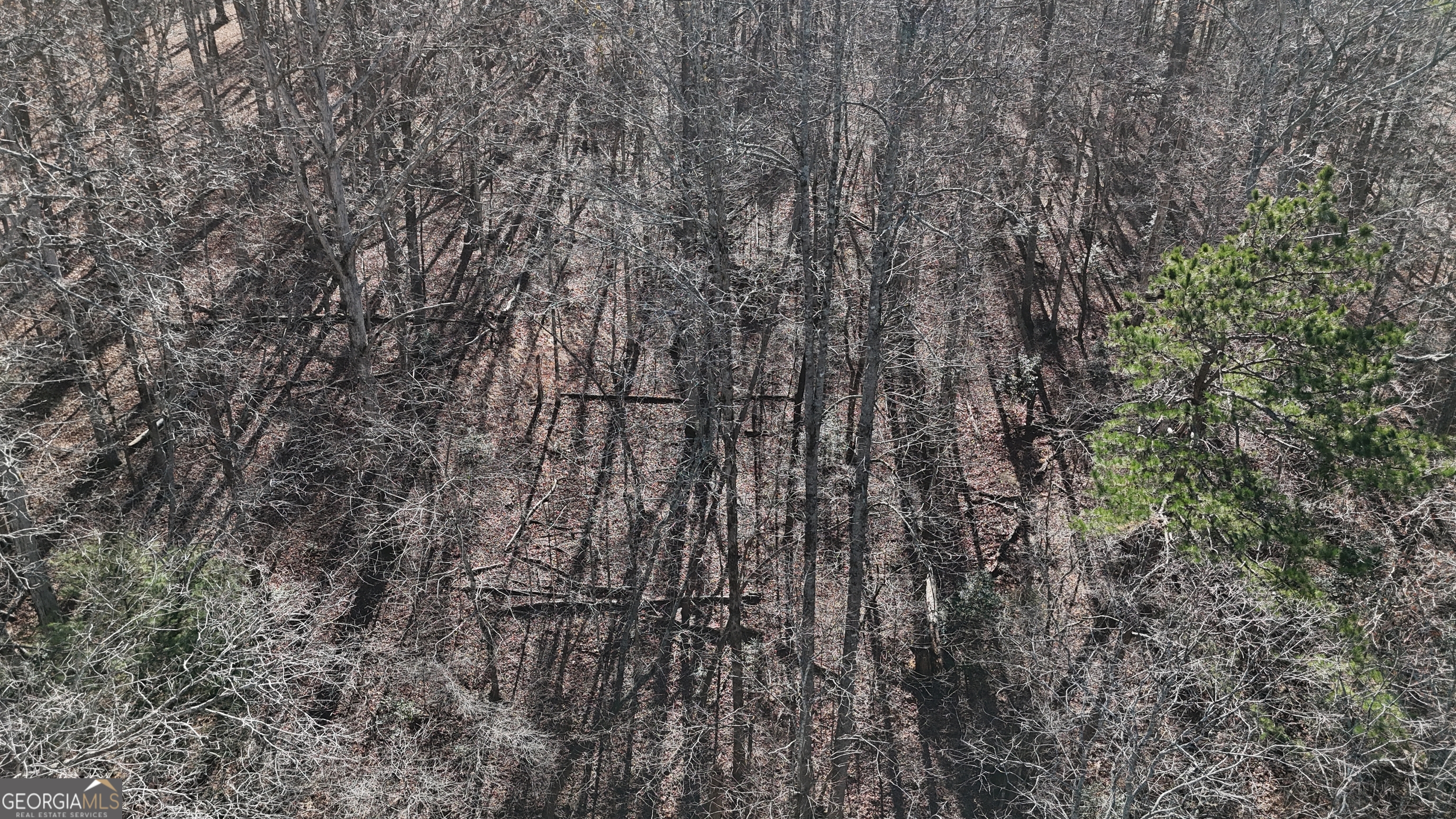 0 River Road Cleveland, GA 30528 - Photo 12 of 25