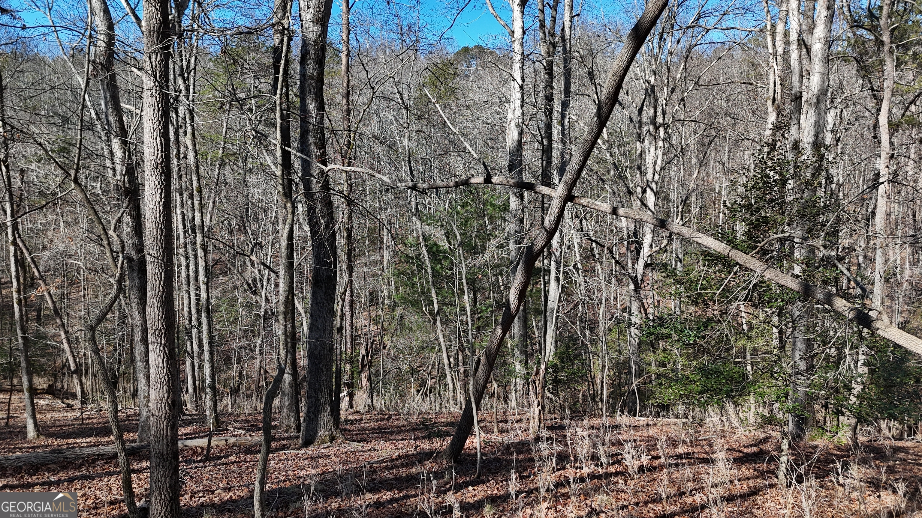 0 River Road Cleveland, GA 30528 - Photo 13 of 25