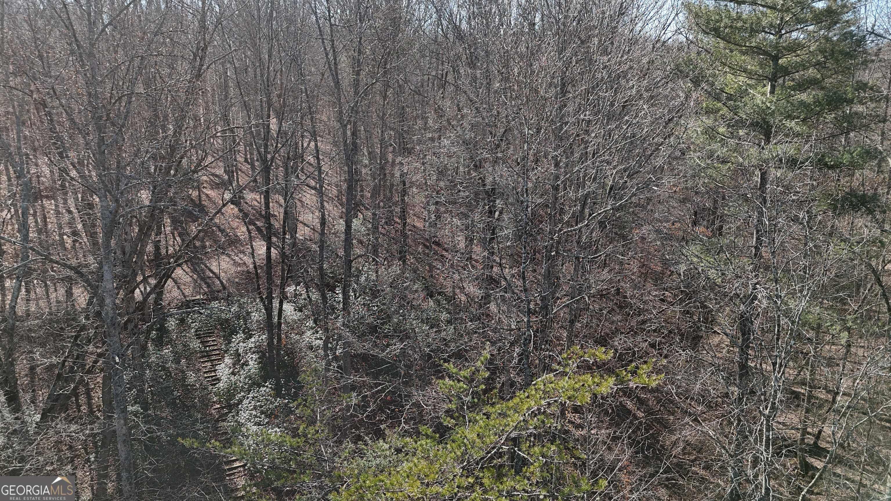 0 River Road Cleveland, GA 30528 - Photo 19 of 25