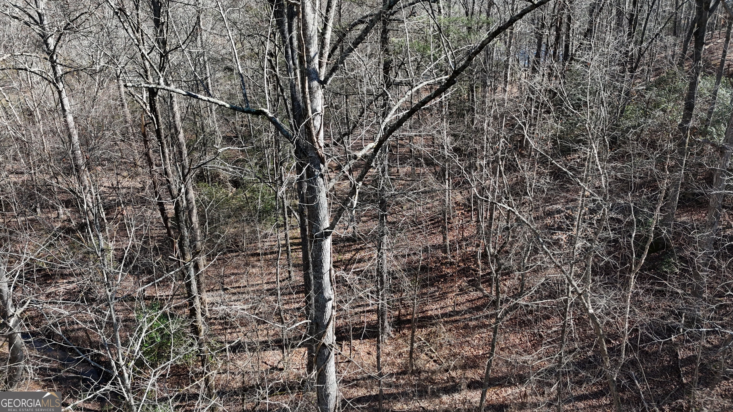 0 River Road Cleveland, GA 30528 - Photo 20 of 25