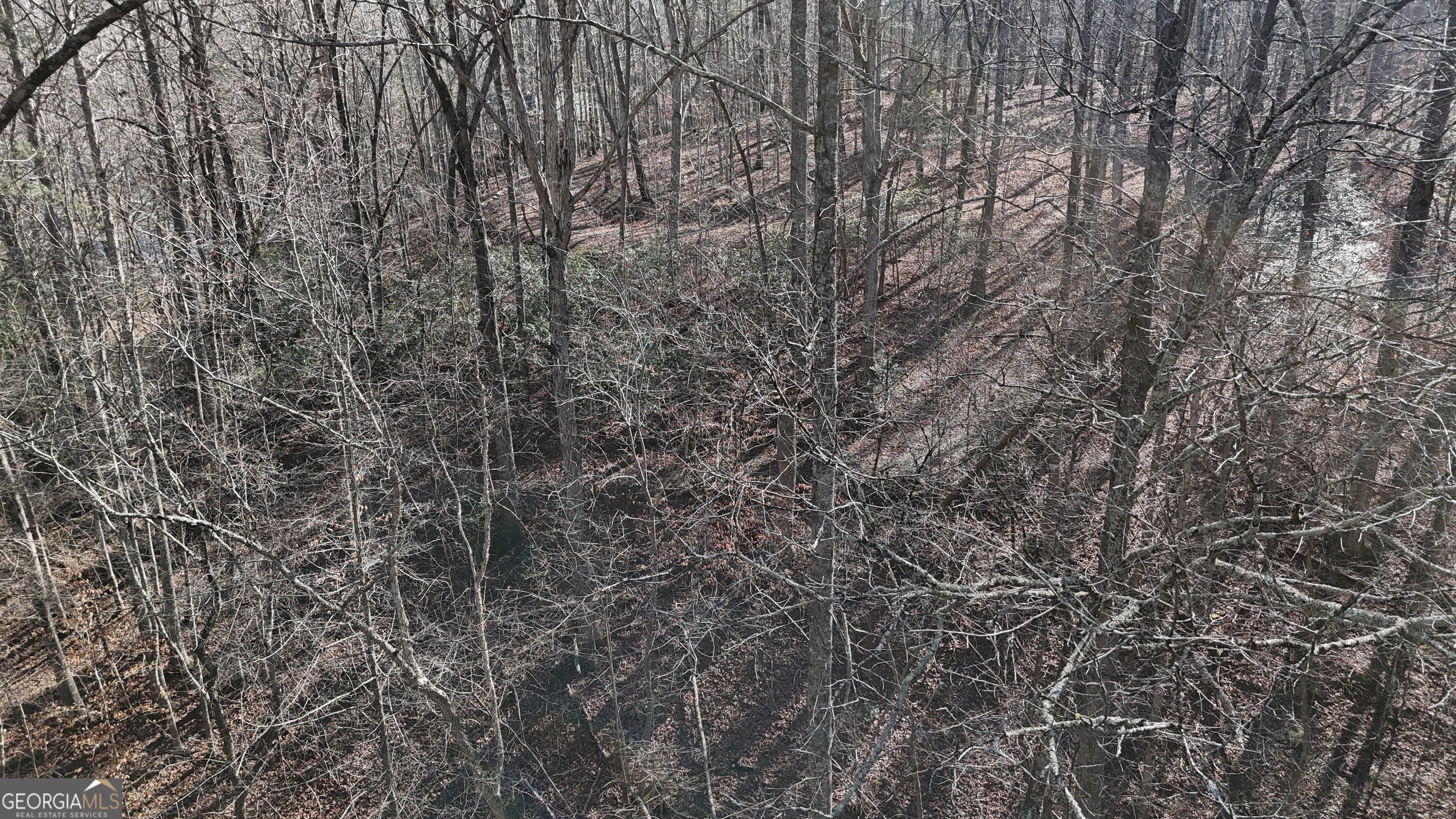 0 River Road Cleveland, GA 30528 - Photo 21 of 25