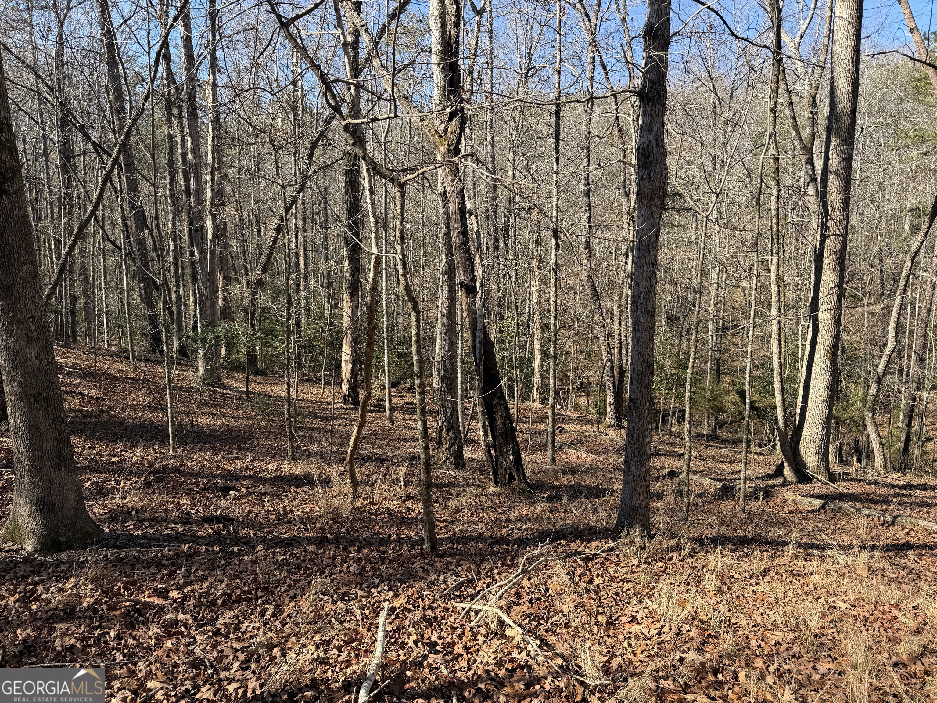 0 River Road Cleveland, GA 30528 - Photo 22 of 25