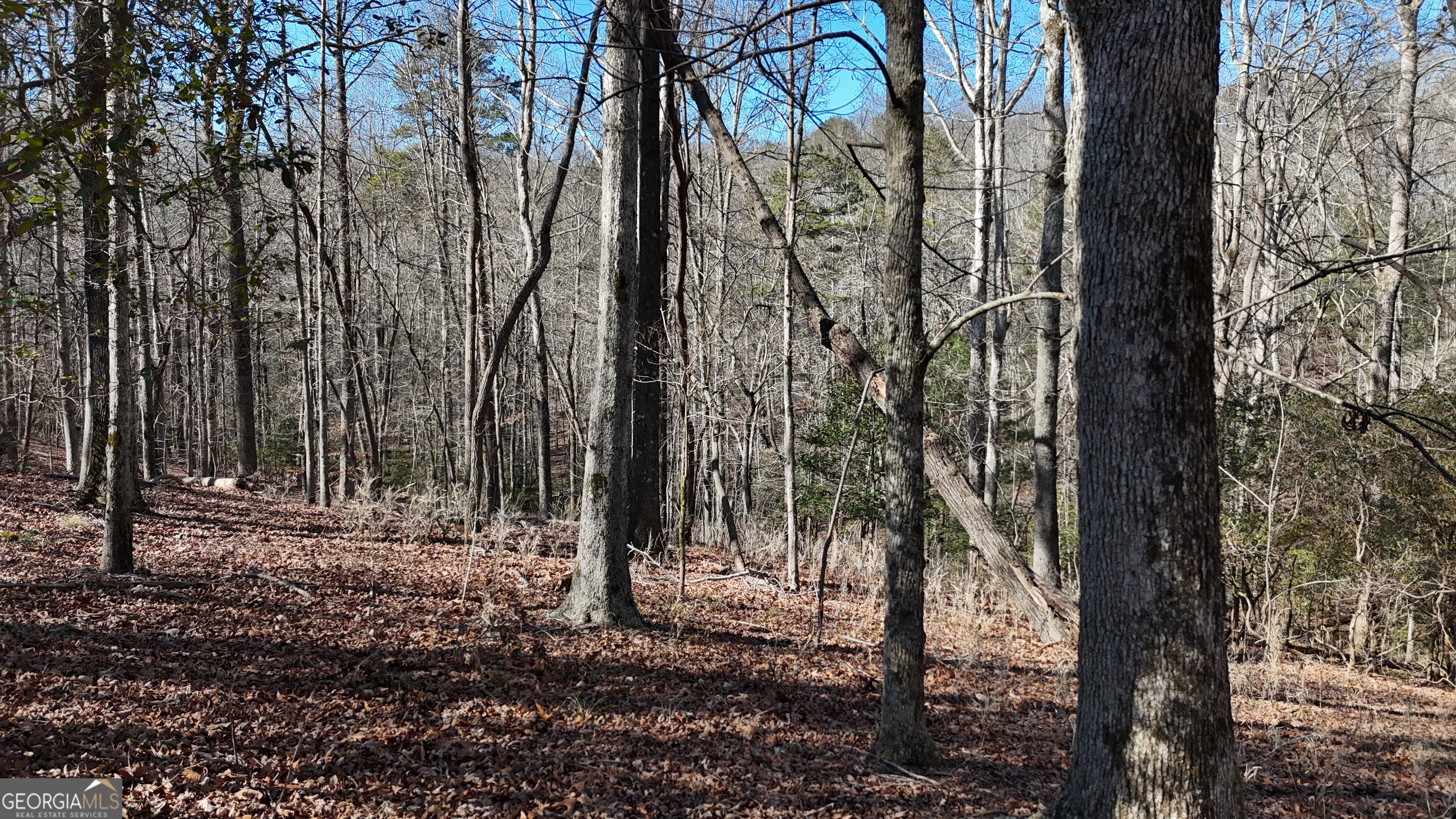 0 River Road Cleveland, GA 30528 - Photo 24 of 25