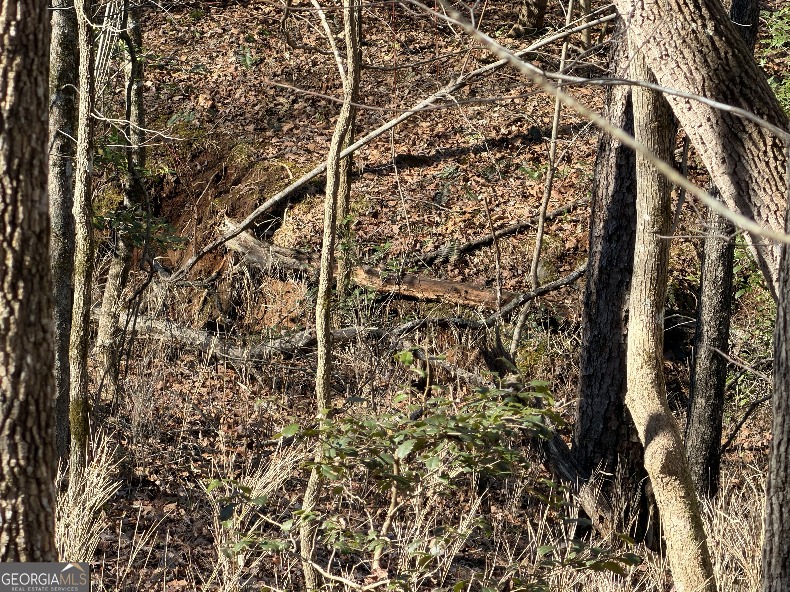 0 River Road Cleveland, GA 30528 - Photo 25 of 25