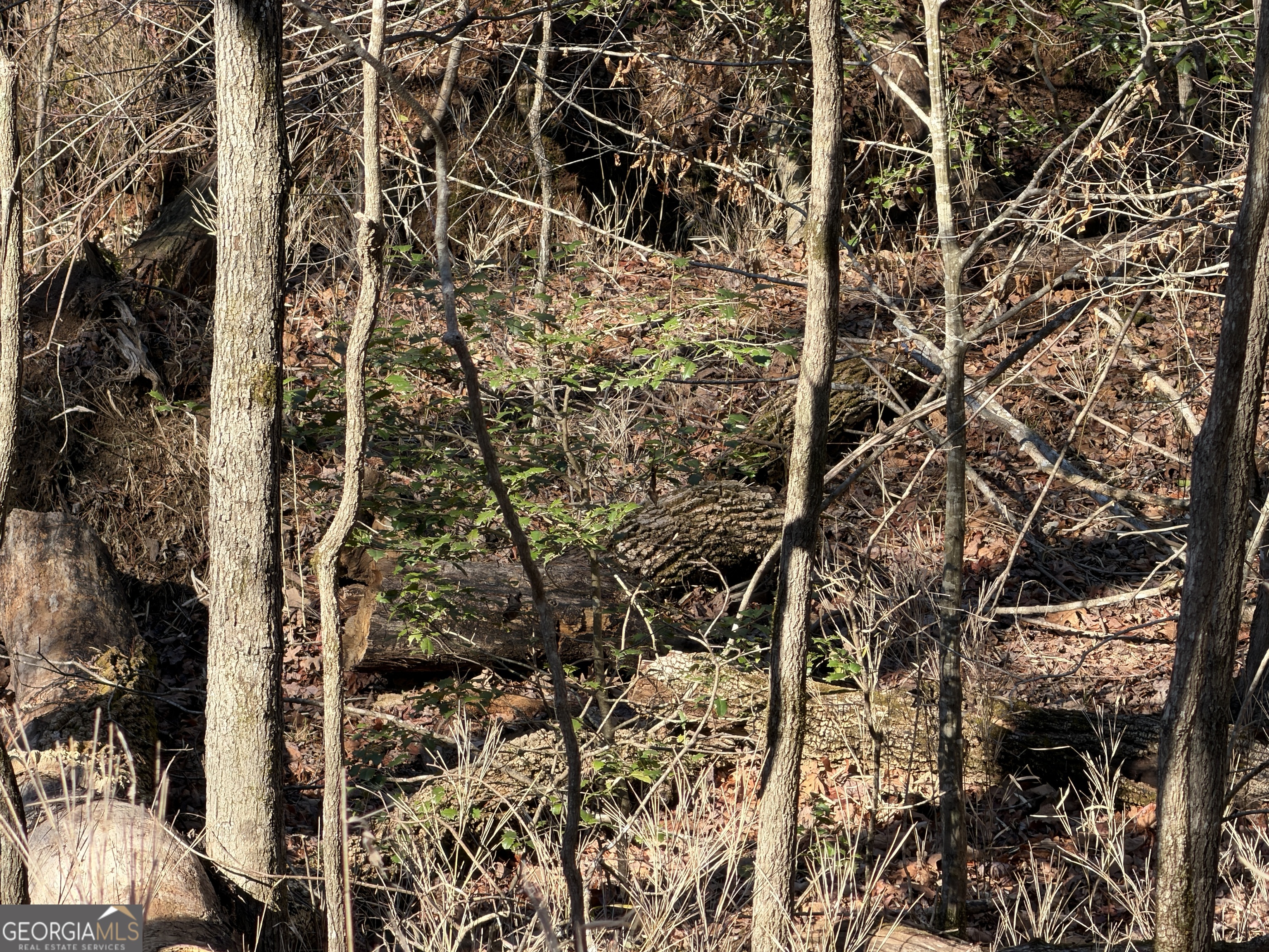 0 River Road Cleveland, GA 30528 - Photo 5 of 25