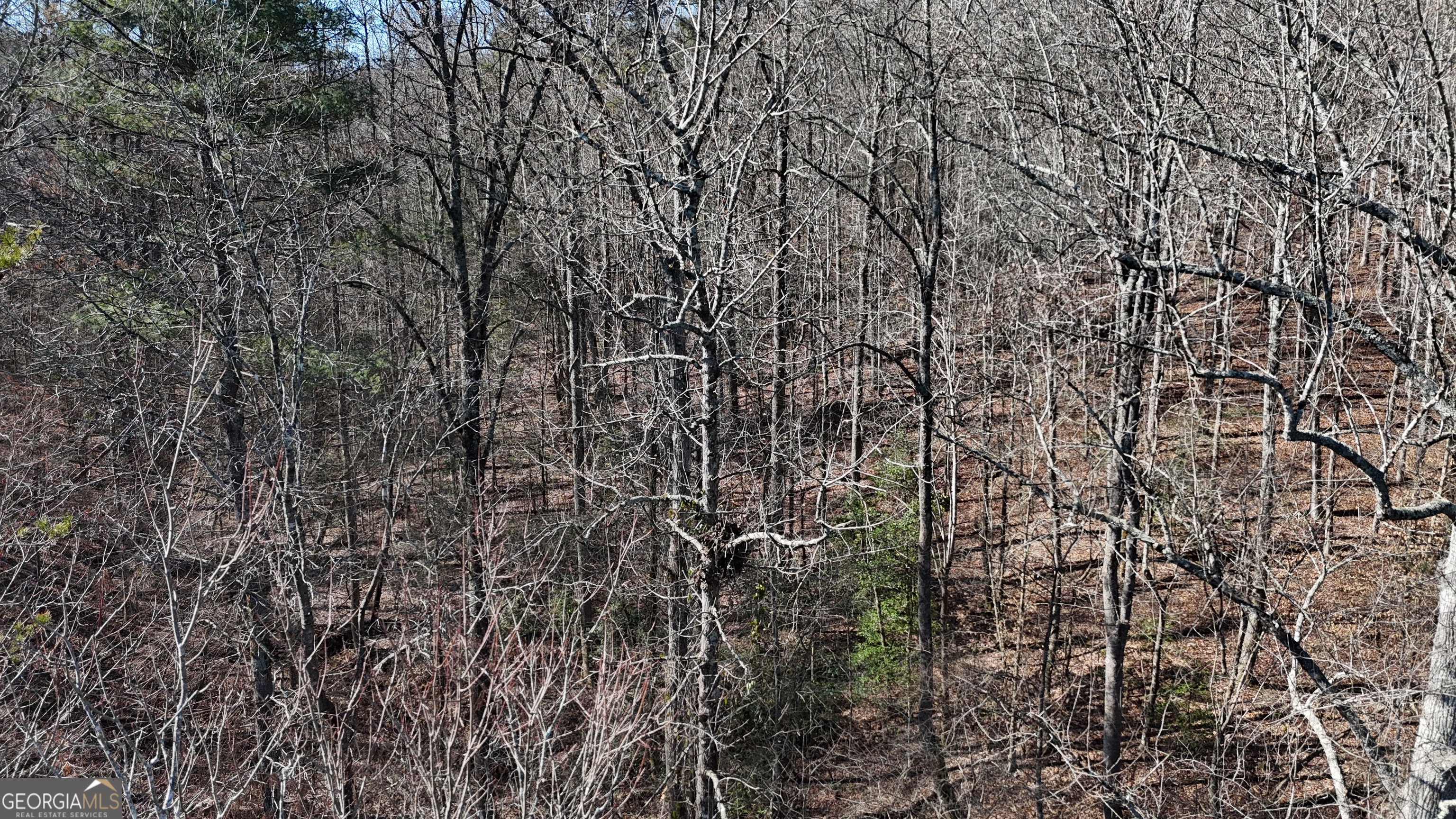 0 River Road Cleveland, GA 30528 - Photo 7 of 25