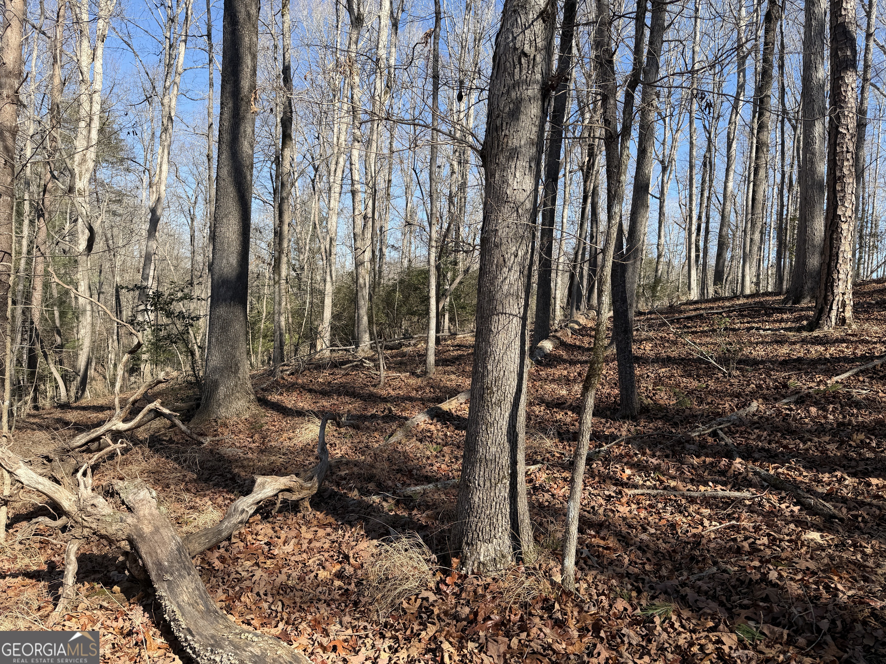 0 River Road Cleveland, GA 30528 - Photo 8 of 25