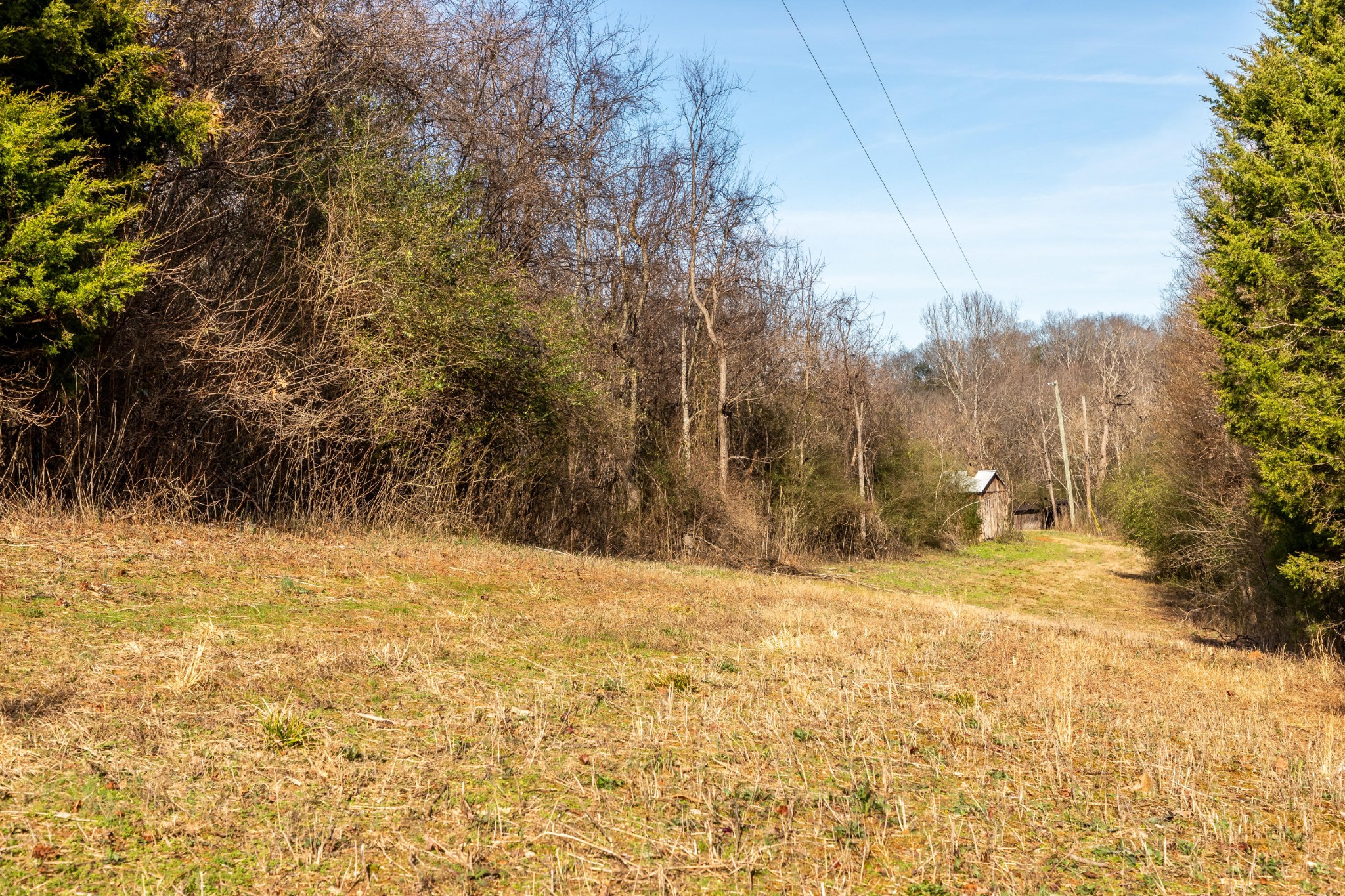 0 Rest Camp Road Lenoir City, TN 37772 - Photo 11 of 14 Gallery Image 11