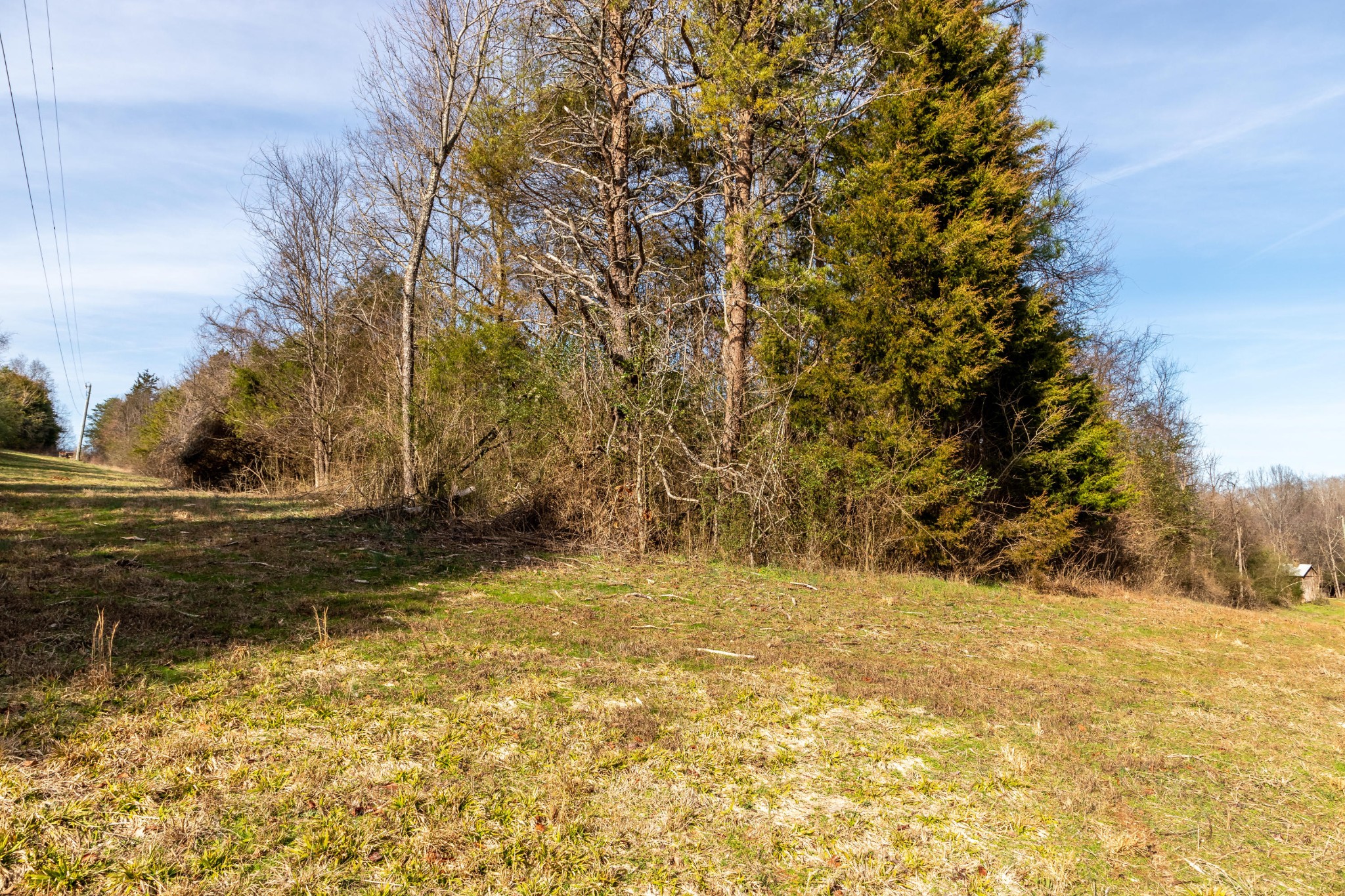 0 Rest Camp Road Lenoir City, TN 37772 - Photo 12 of 14 Gallery Image 12
