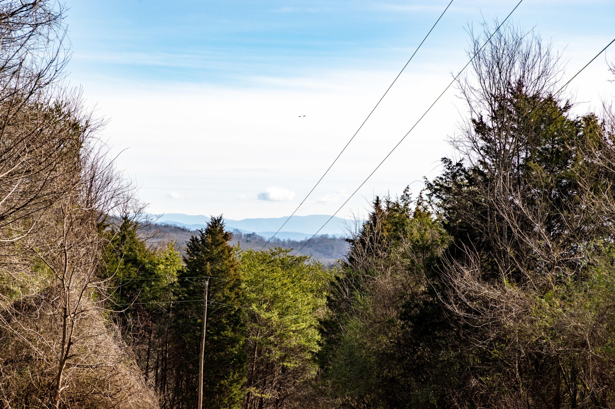 0 Rest Camp Road Lenoir City, TN 37772 - Photo 13 of 14 Gallery Image 13