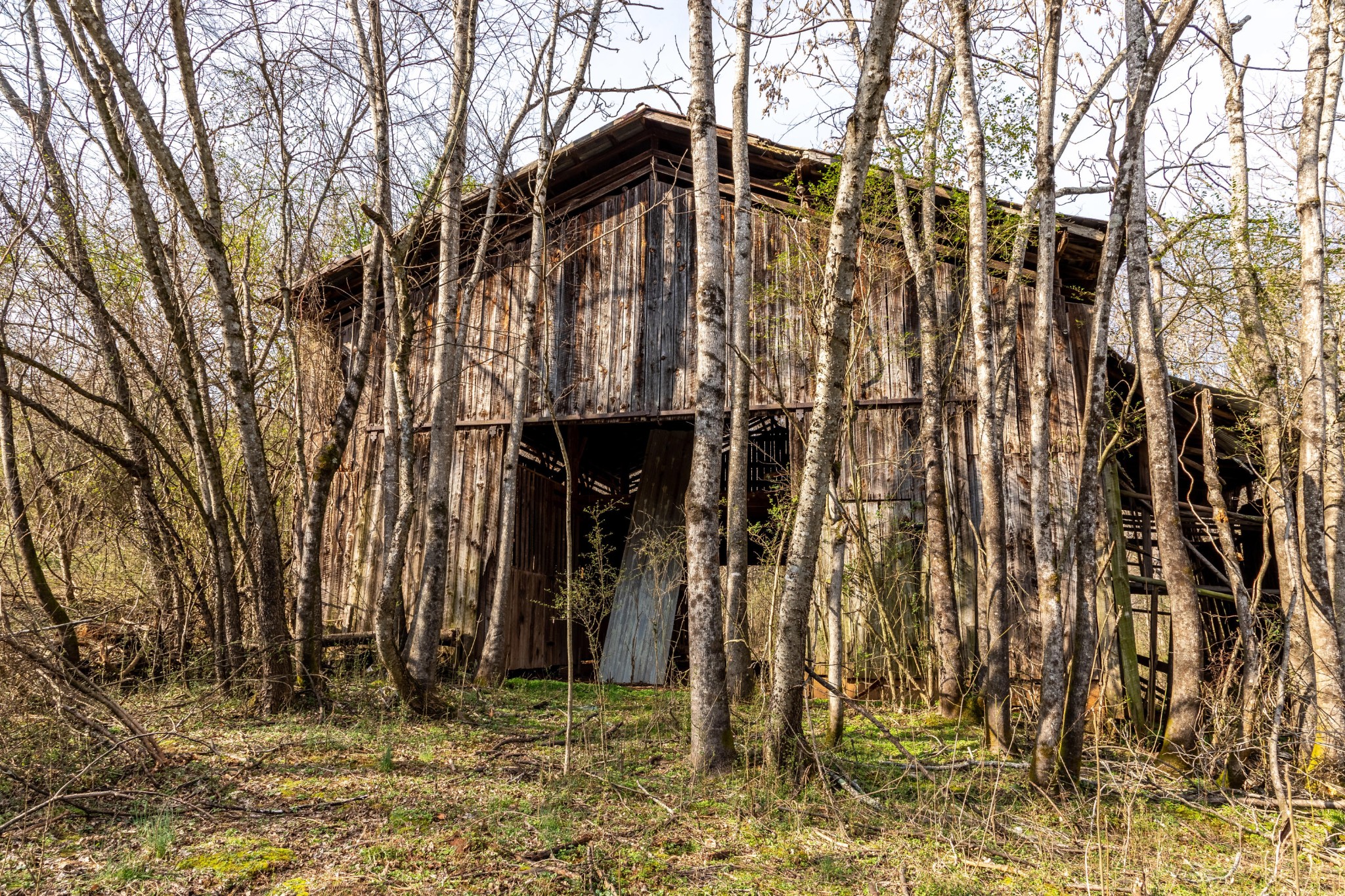 0 Rest Camp Road Lenoir City, TN 37772 - Photo 8 of 14 Gallery Image 8