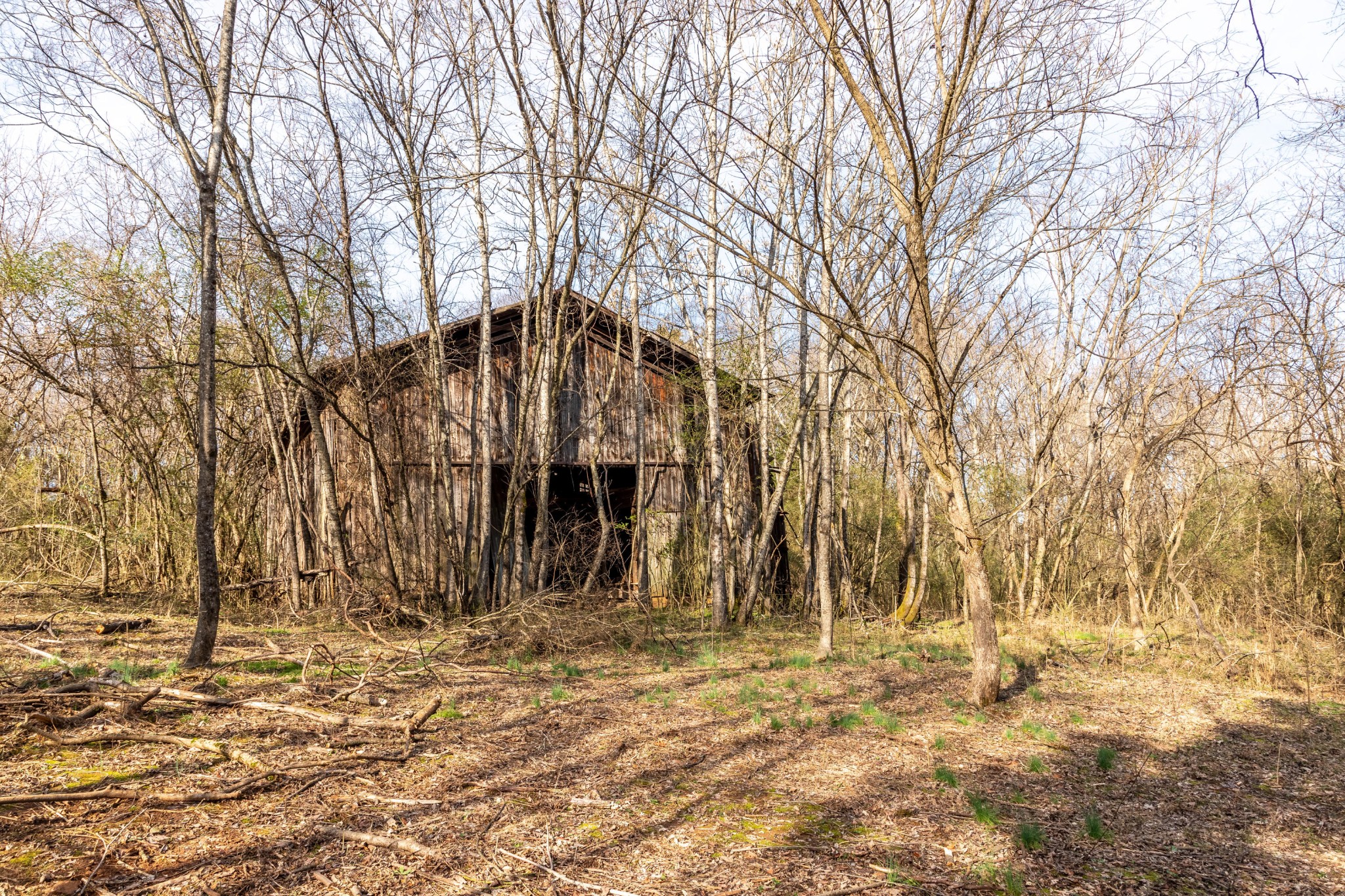0 Rest Camp Road Lenoir City, TN 37772 - Photo 9 of 14 Gallery Image 9