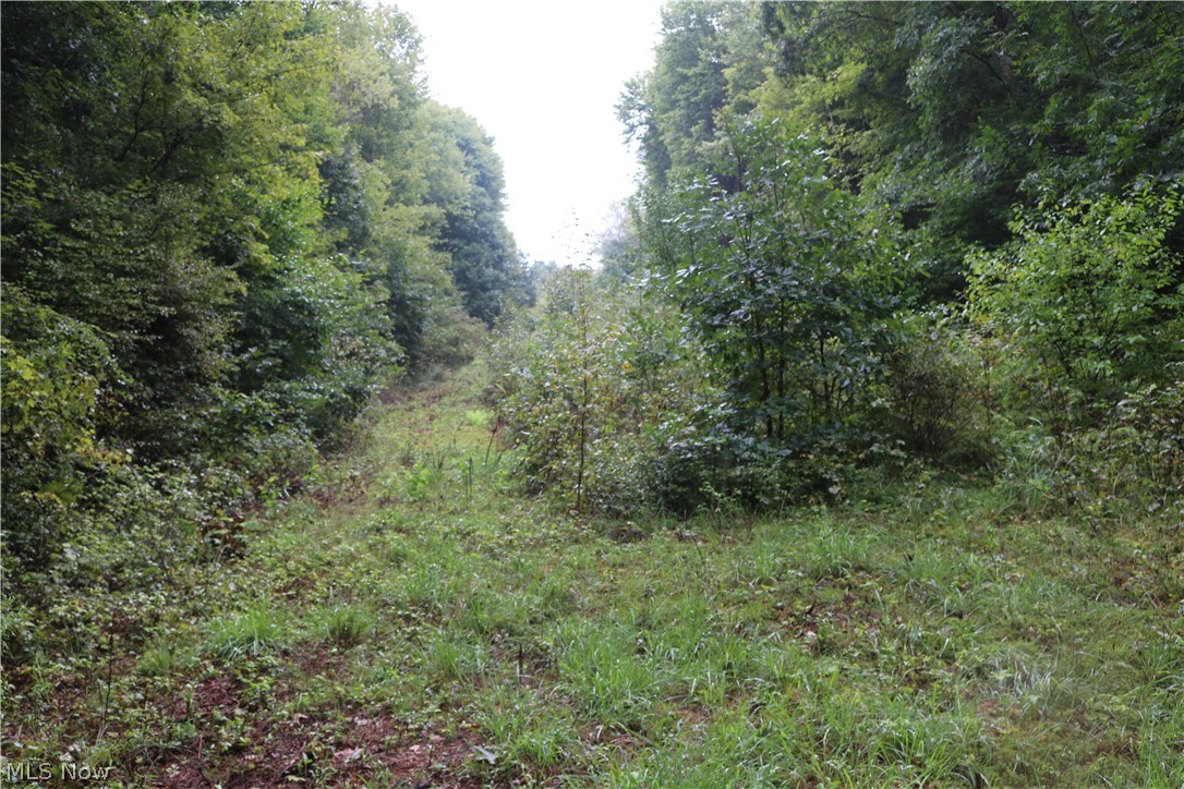 Sawmill Road Newcomerstown, OH 43832 - Photo 13 of 16 Gallery Image 13
