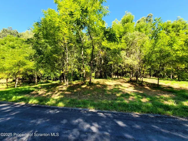 a view of yard with tree