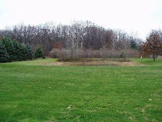 3364 East Samaria Road Temperance, MI 48182 - Photo 5 of 20 792616-4.JPG