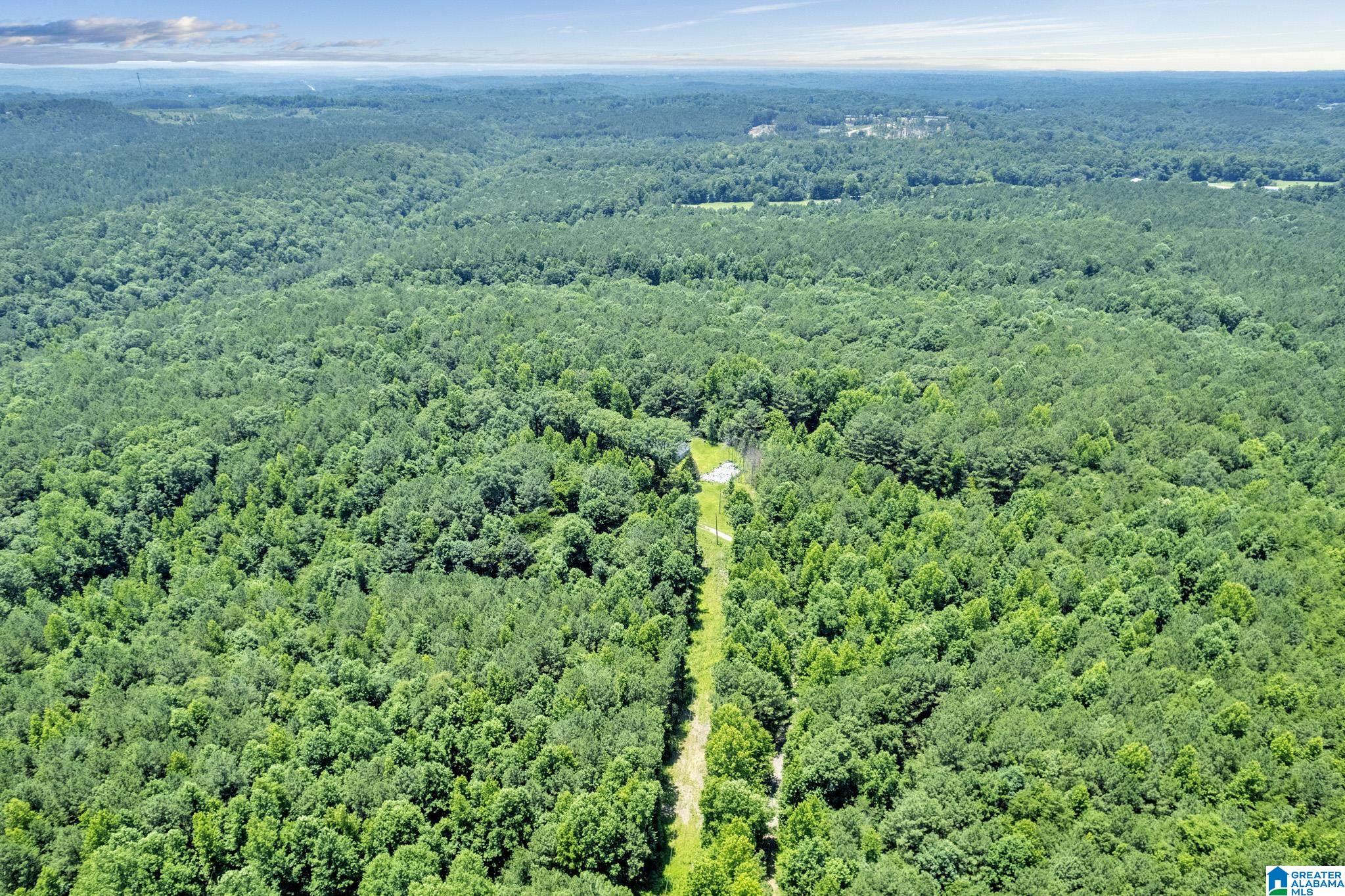 572 Dunn Hill Road Parrish, AL 35580 - Photo 10 of 25