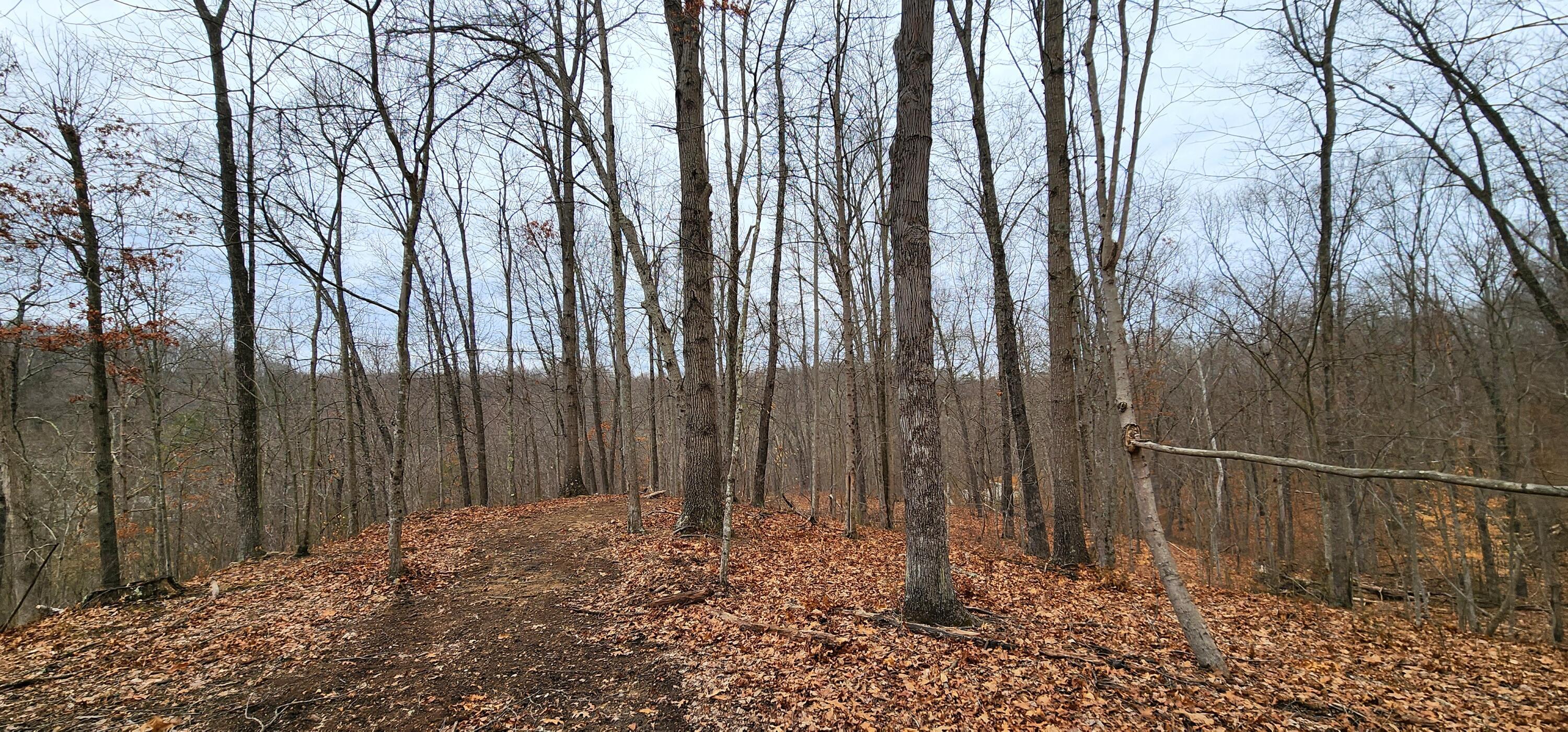 0 Edmundson Road, Unit TRACT 4 AT BIG TIMBER) Vinton, OH 45686 - Photo 59 of 67 20250307_120140