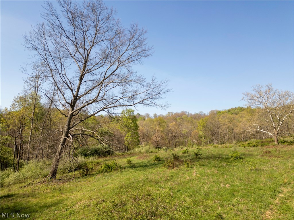 80960 Burkhart Road Tippecanoe, OH 44699 - Photo 22 of 50