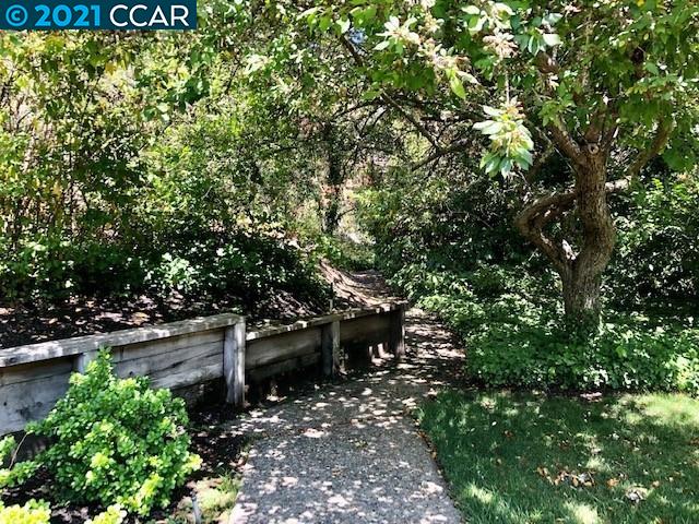 71 Orchard Road Orinda, CA 94563 - Photo 24 of 24 a view of a tree with a tree