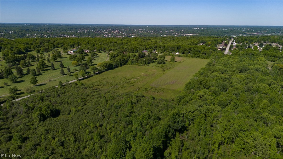 Villa Marie Road Lowellville, OH 44436 - Photo 5 of 13