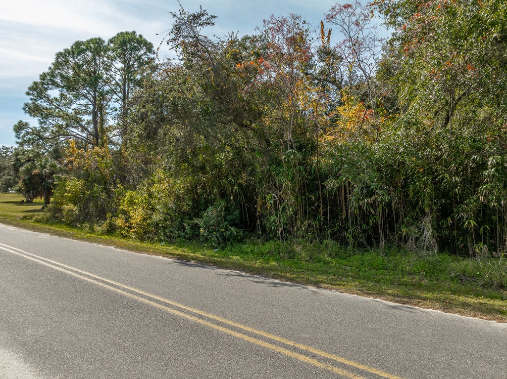 509 12th Street Carrabelle, FL 32322 - Photo 2 of 5