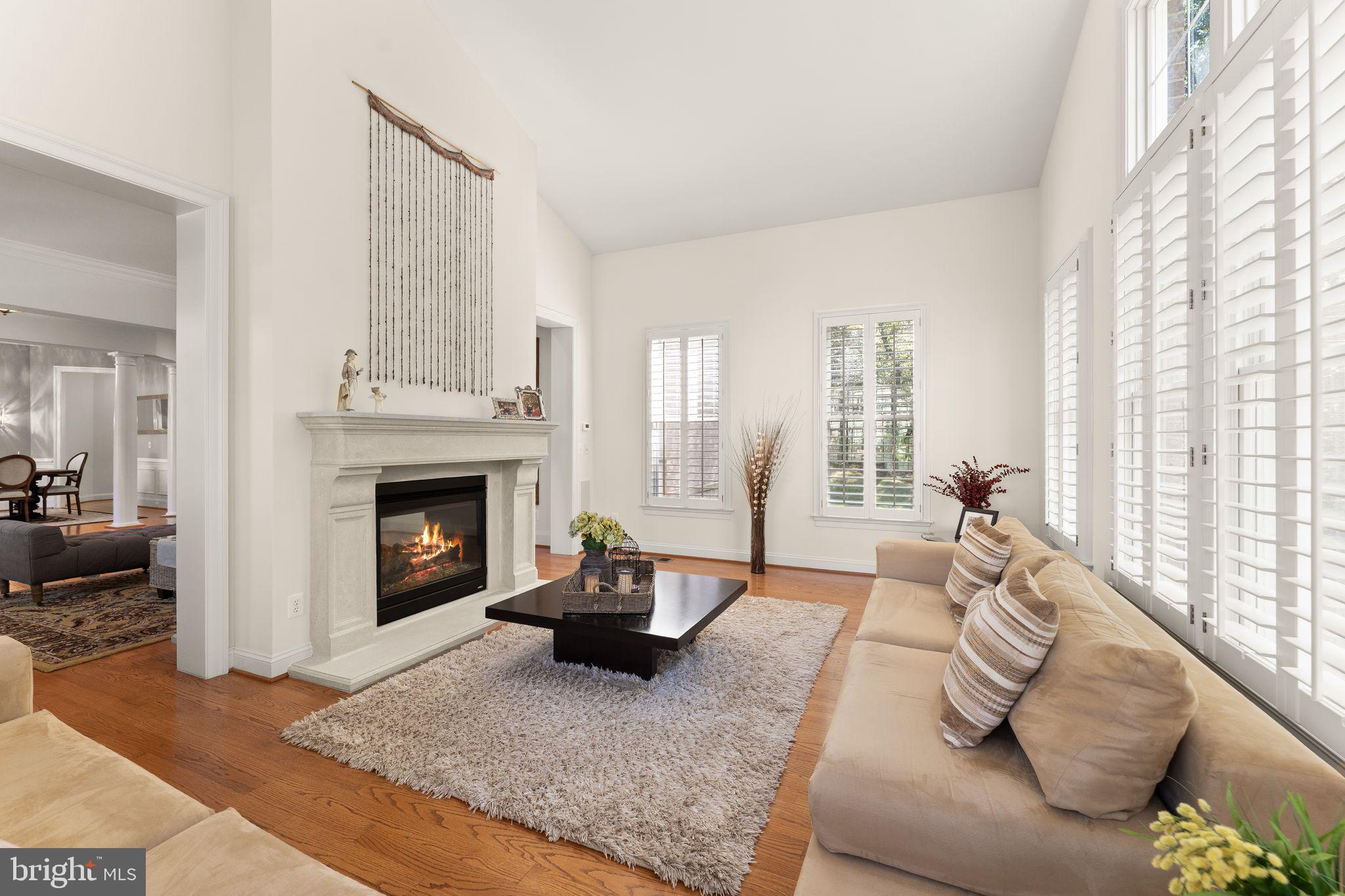 9603 Thistle Ridge Lane Vienna, VA 22182 - Photo 15 of 73 a living room with furniture and a fireplace