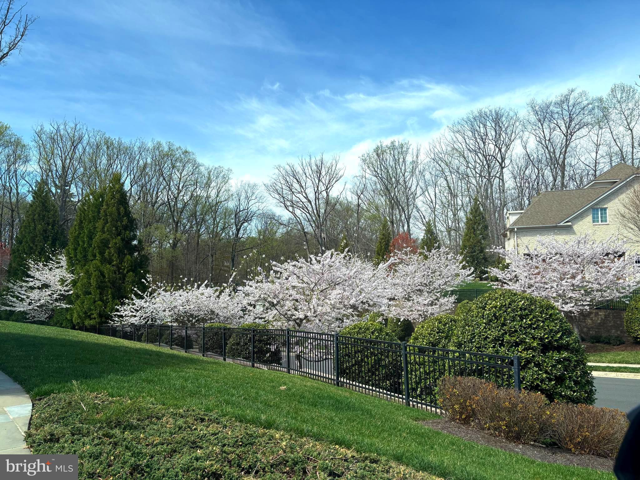 9603 Thistle Ridge Lane Vienna, VA 22182 - Photo 70 of 73 a view of a garden with plants and large trees