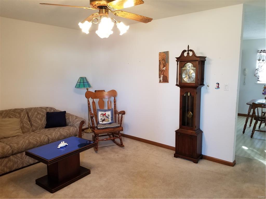 438 Main Street Radom, IL 62808 - Photo 3 of 10 Gallery Image 3