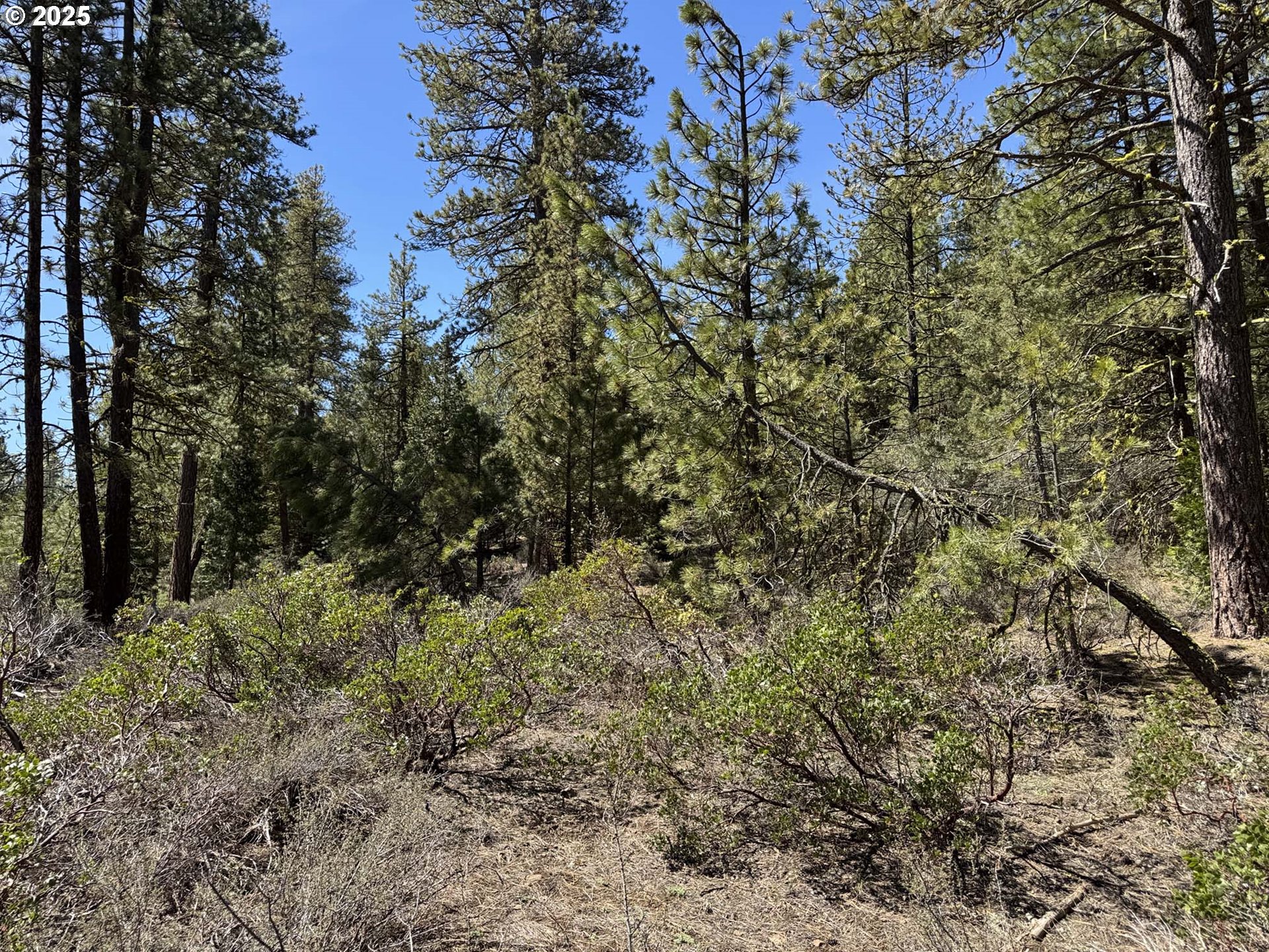 Horned Owl Lane Bonanza, OR 97623 - Photo 24 of 44