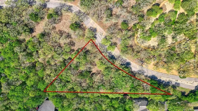 a view of a yard with a tree