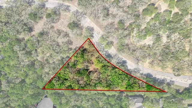 a view of a yard with plants