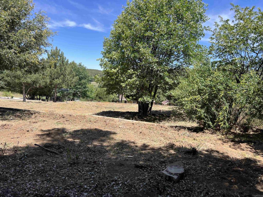 Harrison Park Road Julian, CA 92036 - Photo 12 of 18