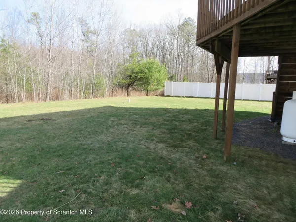 a view of backyard with tree