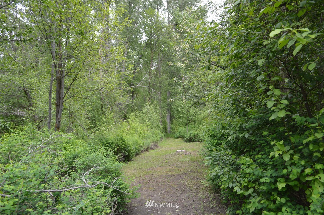 875 Twisp River Road Twisp, WA 98856 - Photo 14 of 19 Gallery Image 14