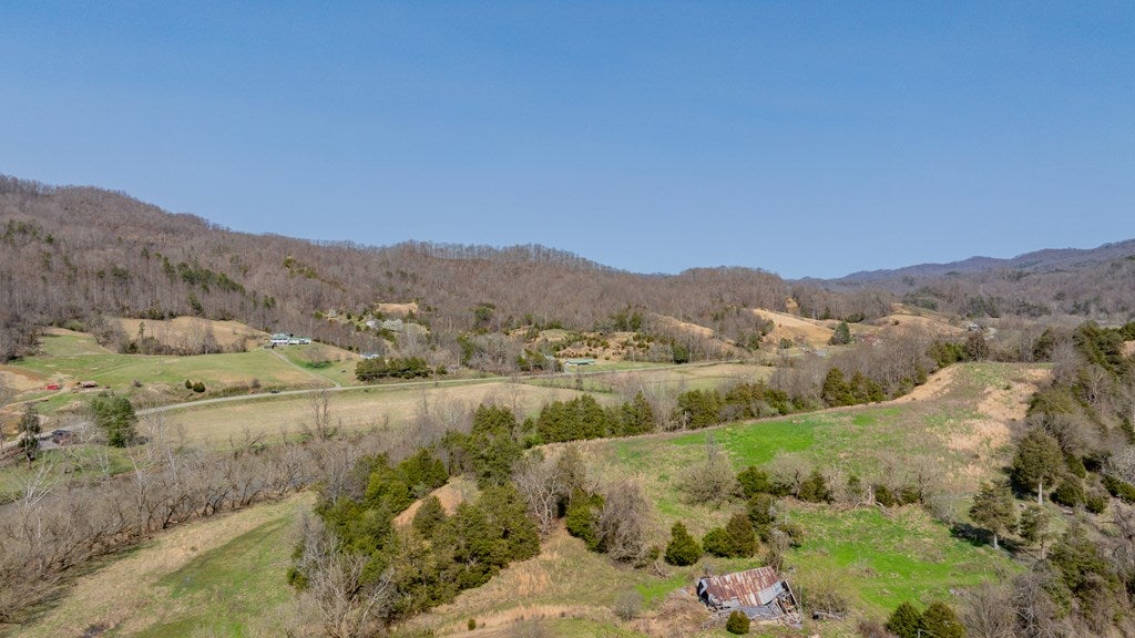 Tbd Keyhole Road Fort Blackmore, VA 24250 - Photo 14 of 16 Gallery Image 14