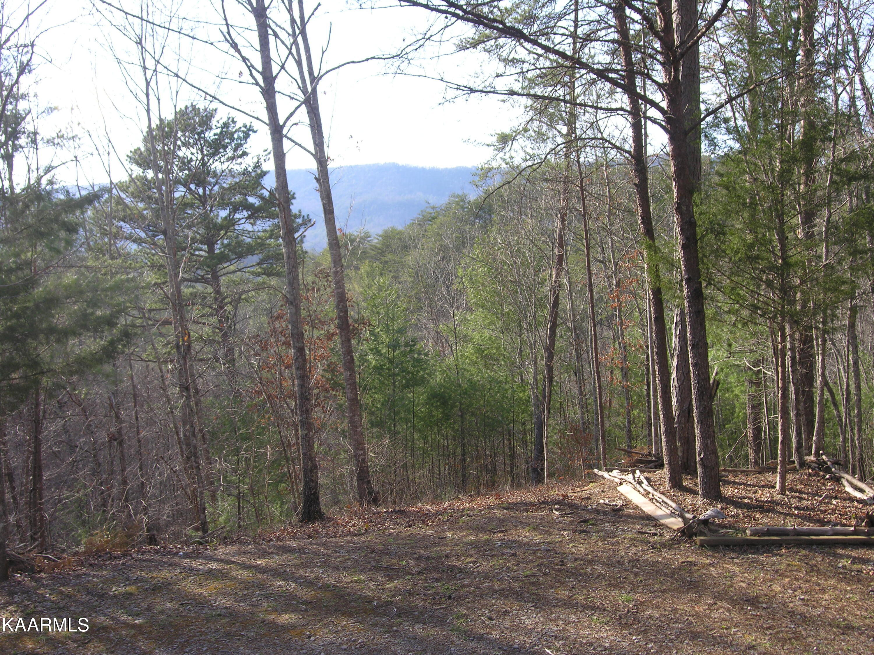 1987 Tellico Reliance Road Reliance, TN 37369 - Photo 3 of 44 Starr Mountain view