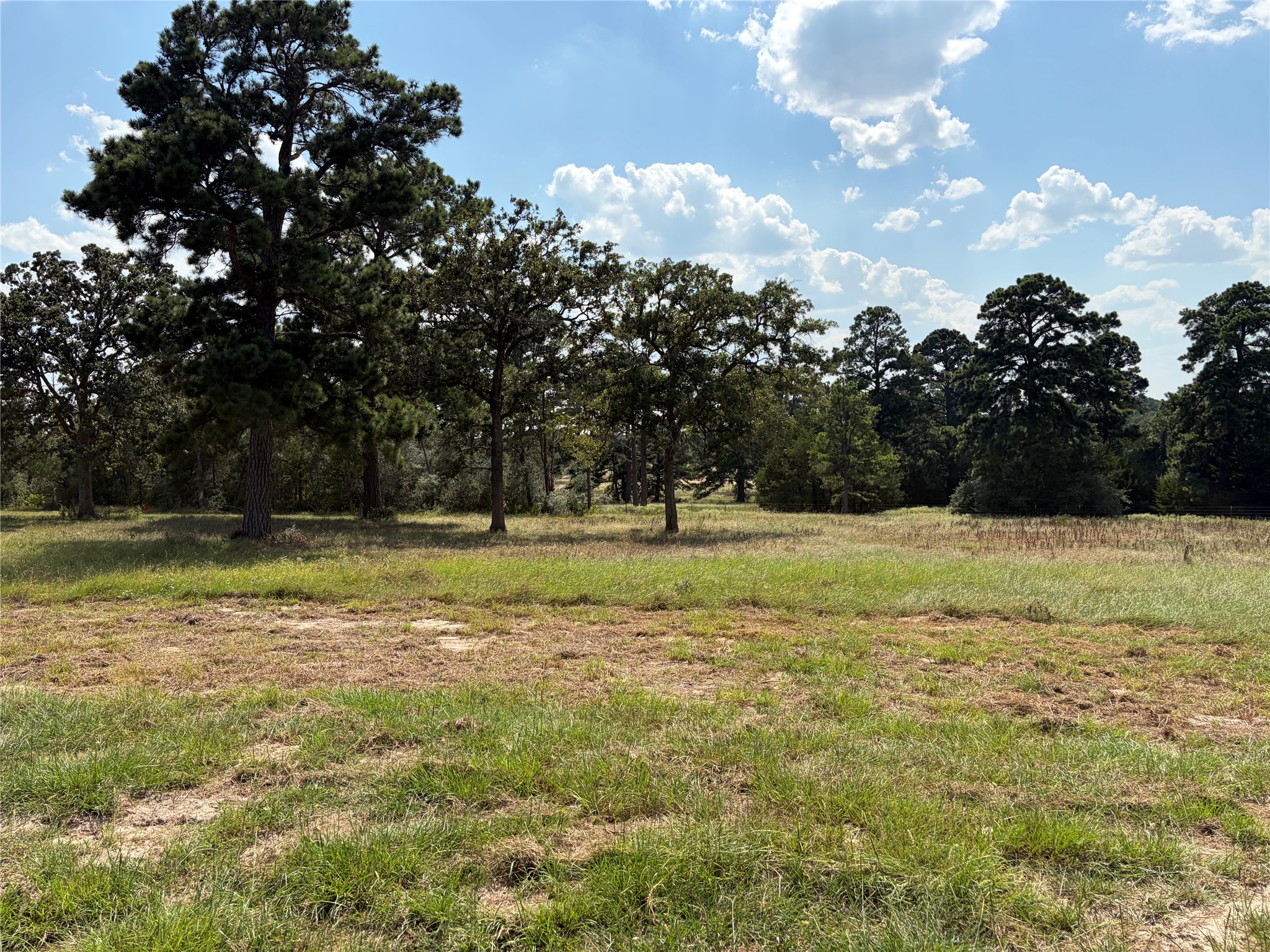 170 Split Oak Road Smithville, TX 78957 - Photo 18 of 31 Mature trees frame a verdant meadow, offering serene views and natural privacy.
