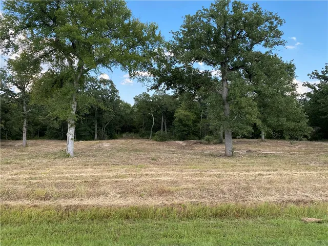 a view of a backyard of a house