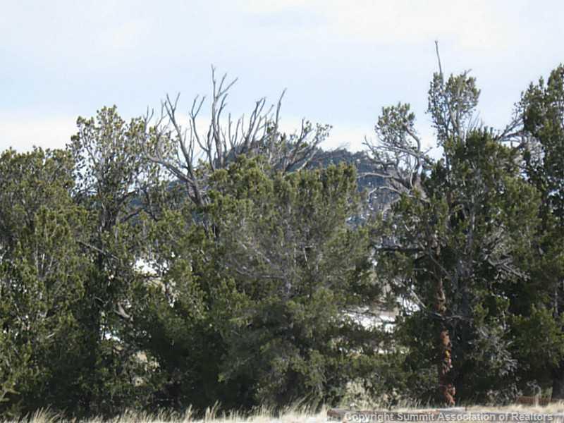 103 Smith And Wesson Road Como, CO 80432 - Photo 8 of 11 Gallery Image 8