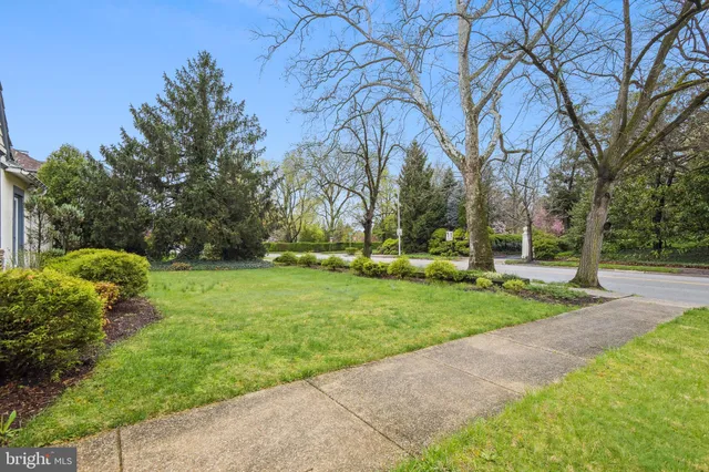a view of a park with large trees