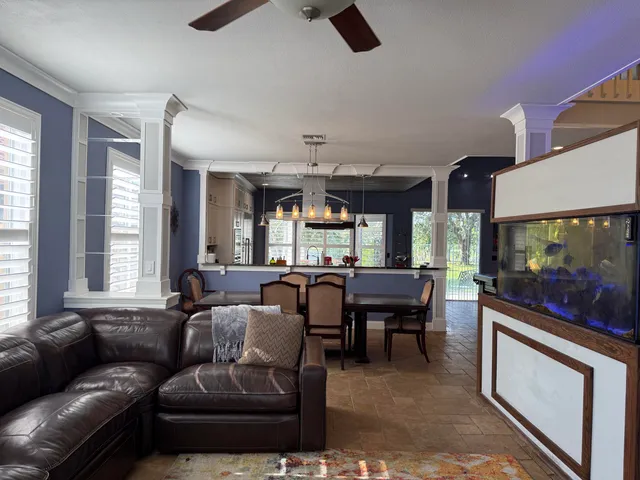 a view of a park with palm trees