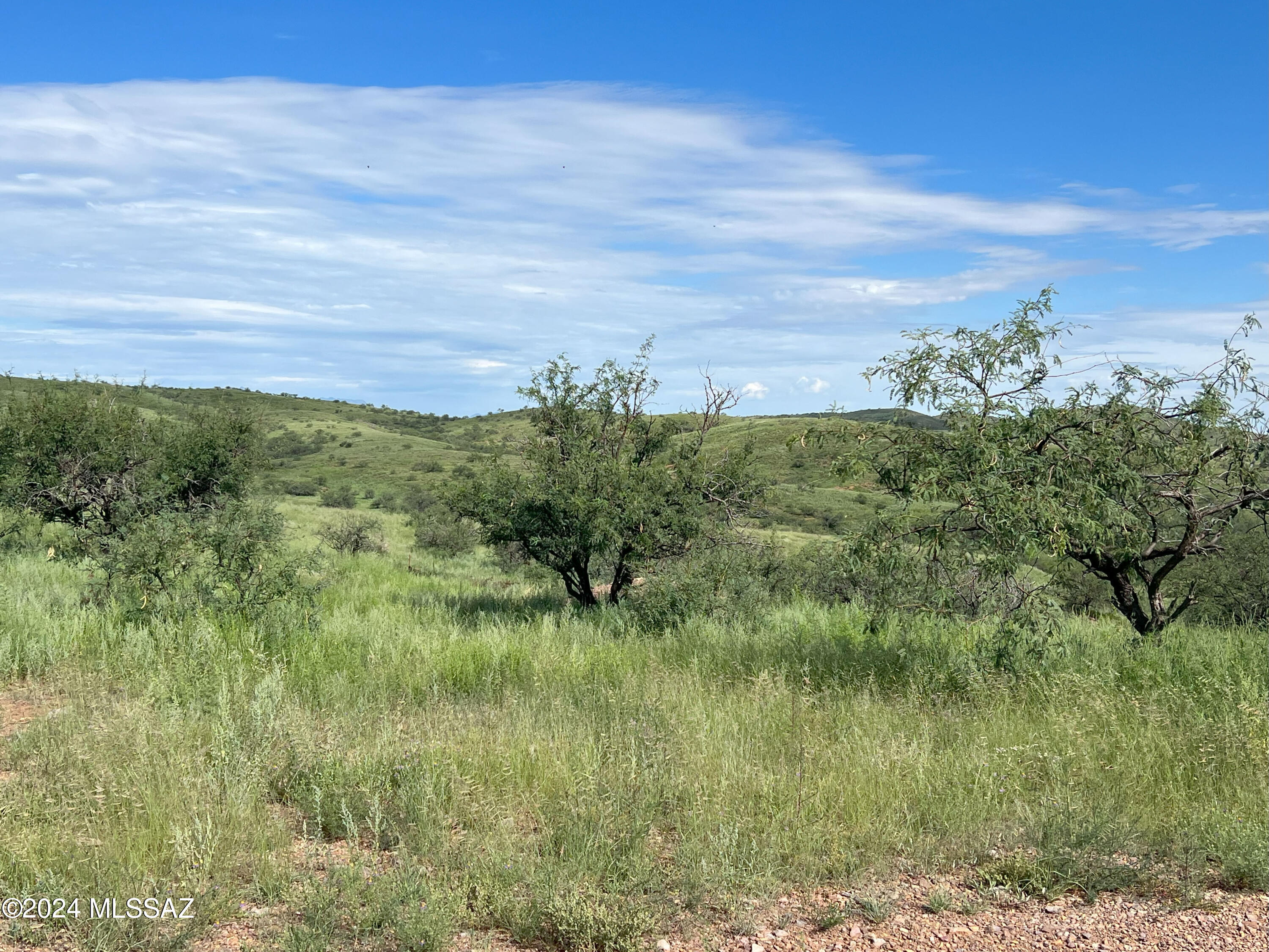 13910 West Jalisco Road Arivaca, AZ 85601 - Photo 7 of 10 a view of a garden